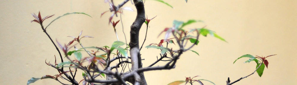 Бизнес эксперт